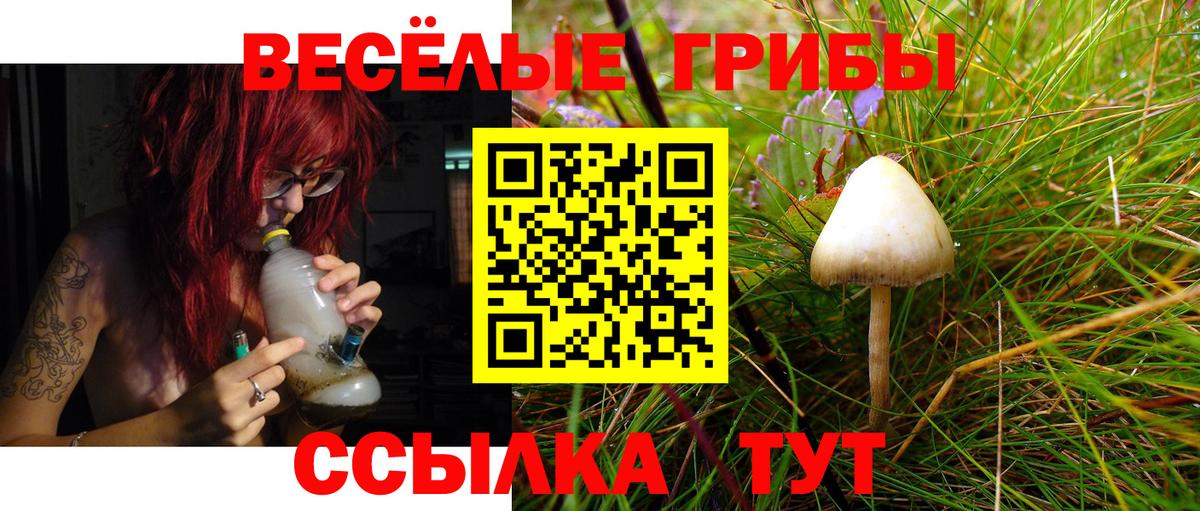 Псилоцибиновые грибы MAGIC MUSHROOMS  Галлюциногенные грибы ЛСД  Вход с VPN  дарнет шоп  Краснокаменск 
